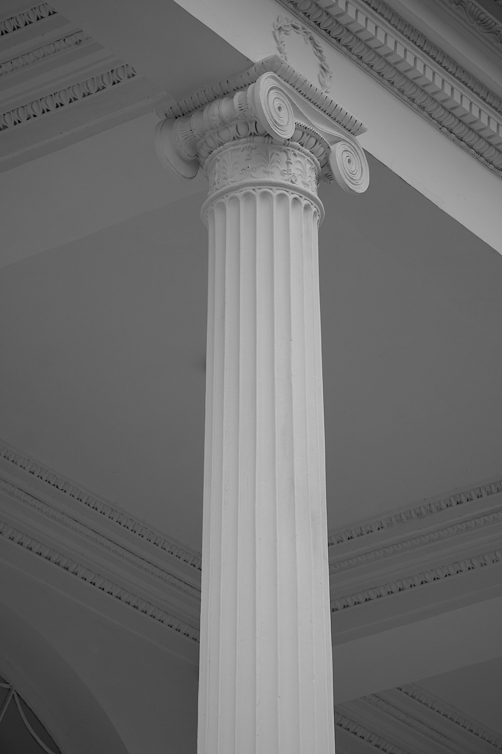 pexels-anna-romanova-1406375-3880591